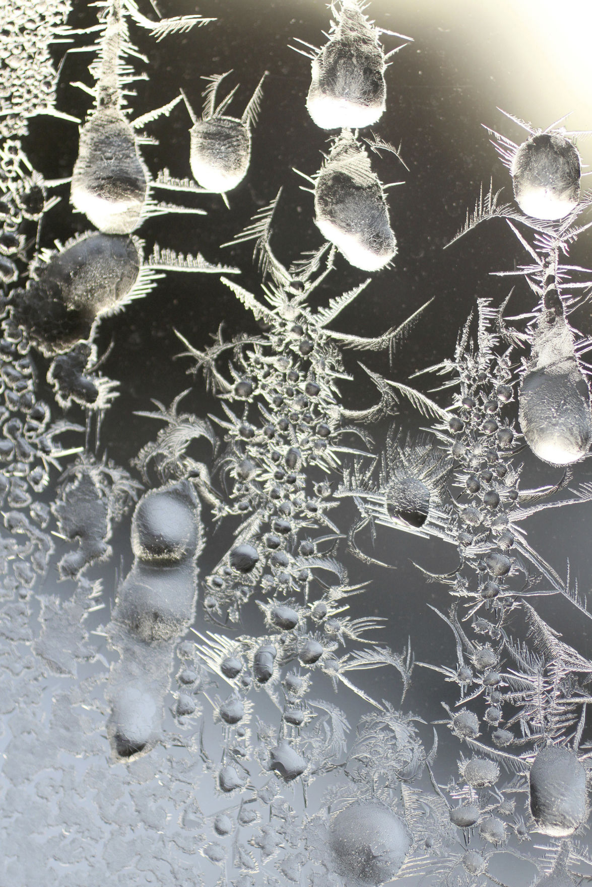 Jack Frost Minnesota